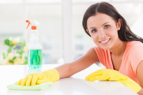 Carpet cleaning service terms and conditions document