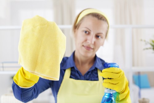 Steam carpet cleaning service in a residential room