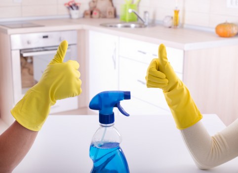 Cleaning team reviewing a carpet complaint form