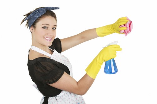 Deep carpet cleaning equipment in Chessington